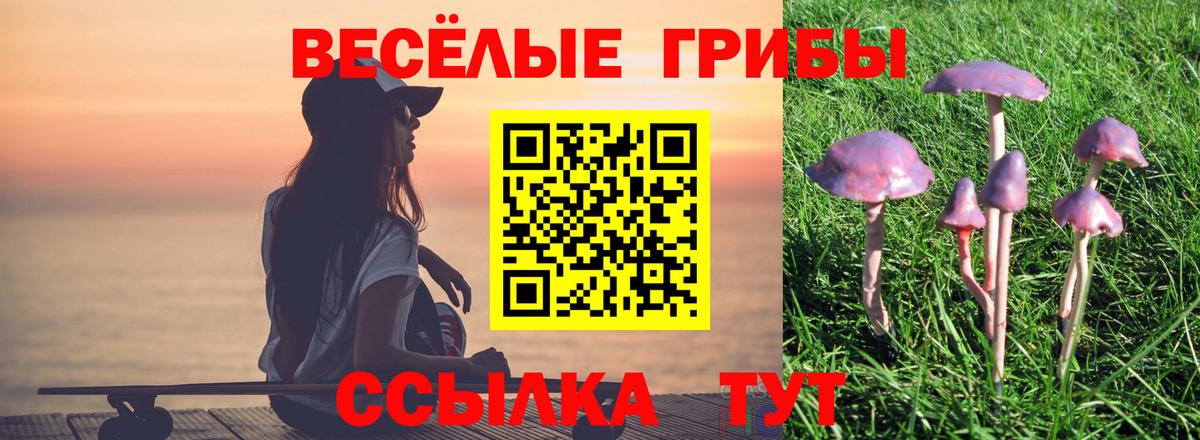 Якутск  Псилоцибиновые грибы Cubensis  Псилоцибиновые грибы Psilocybine cubensis  Вход с VPN 
